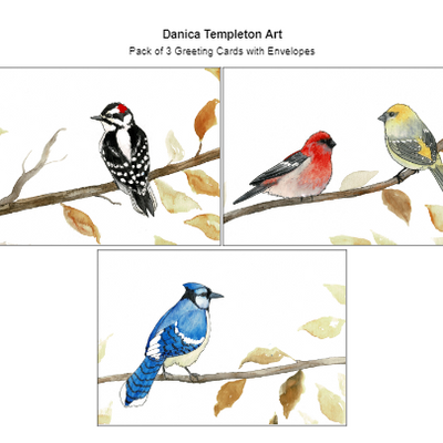 *New* Danica Templeton Art Bird Greeting Cards (3 pack)