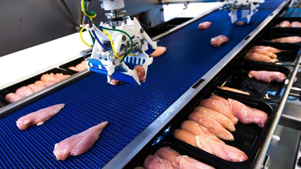 3D printed robotic grippers on a production line lifting chicken pieces onto conveyor belts