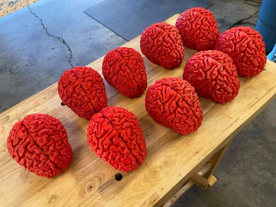 3D printed brains for NW Noggin from MakerForce