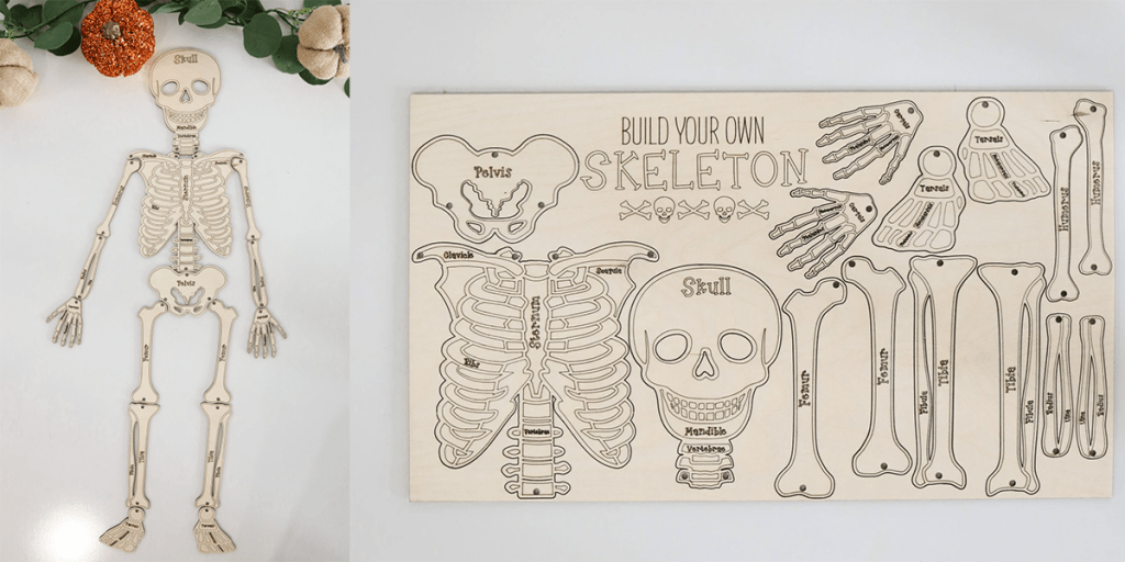 Laser cut halloween craft with a build your own skeleton