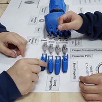 Students assembling a 3D printed e-nable hand
