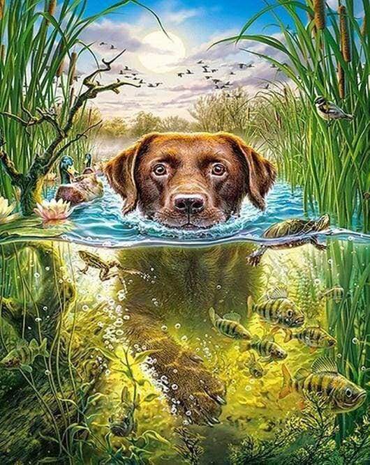 Diamond Painting Hund im Fluss Figured�Art