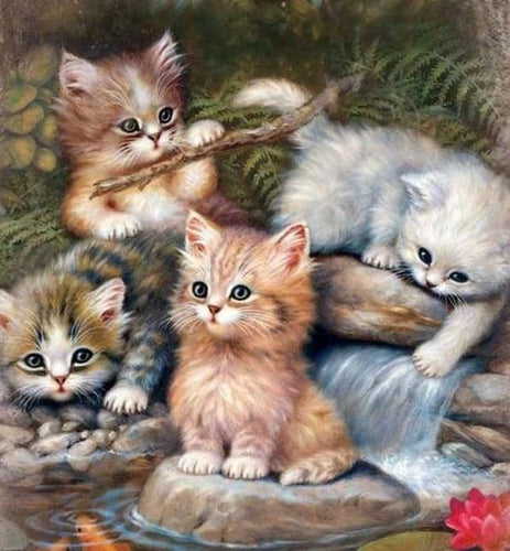 Diamond Painting - Cat Lawless