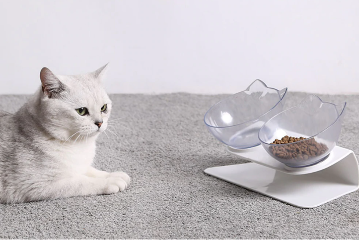 elevated cat bowl