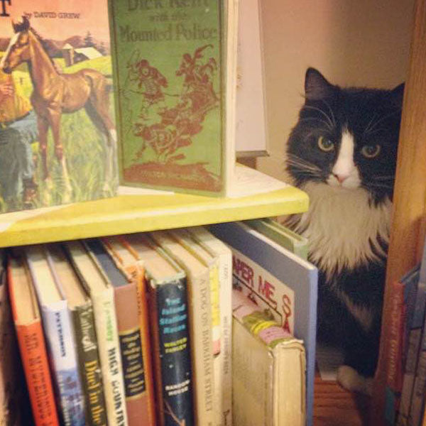 Bibliophile Flexi Journal - Bookstore Cats [Book]