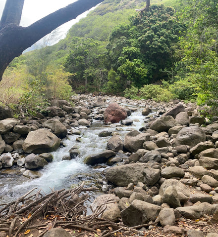 Iao Valley National Monument