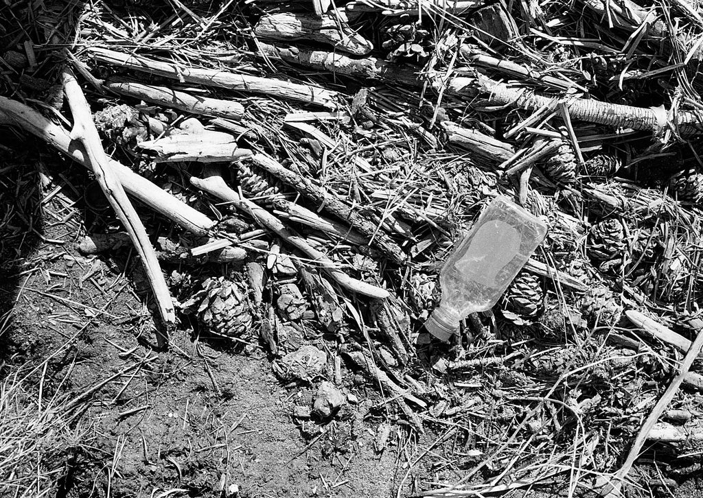 Film photo by Katie Lobodzinski of a littered bottle laying on driftwood in Estes Park