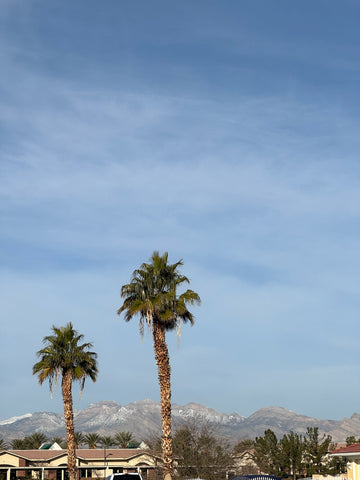 image of the mountains from our airbnb front porch