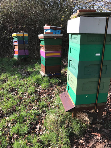 Hogs Back bee hives