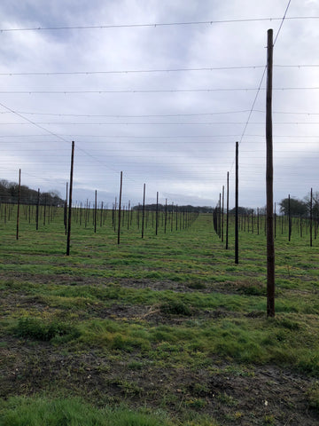 hop garden