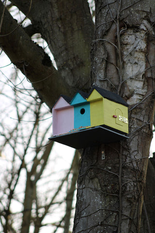 Bird box in tree