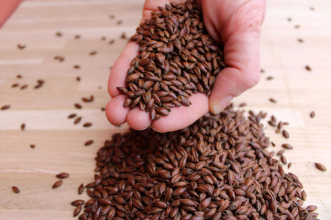 Chocolate malt close up