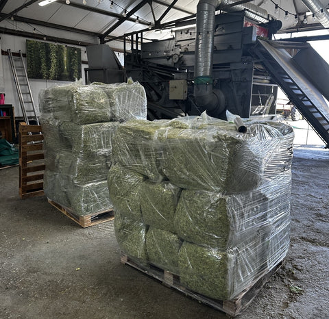 Hops baled up ready to be stored