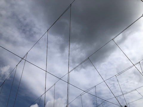 Strings in the hop garden