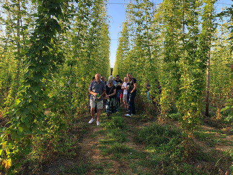 Hop Garden Open Evening visitors