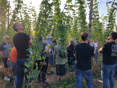 Hop Garden Open Evening visitors