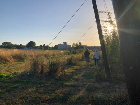 Visitors to the Hop Garden