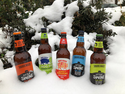beer bottles in the snow