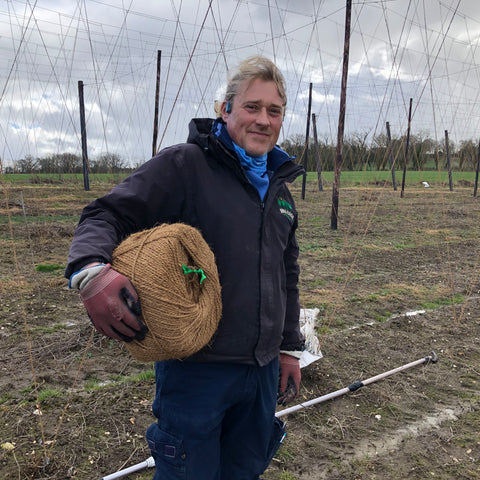 Matthew in the hop garden