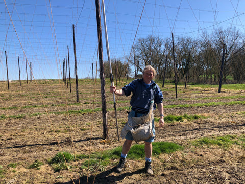 Matthew in the hop garden