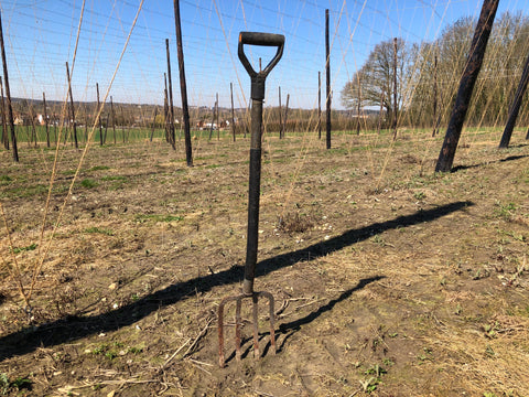 Fork in the hop garden