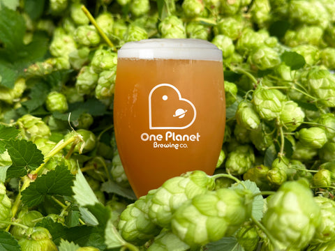 One Planet Brewing beer glass