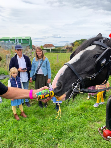 Shire Horses