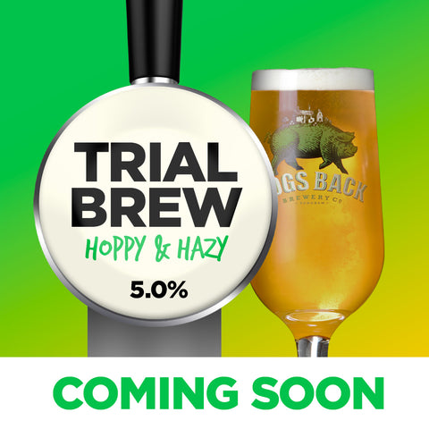 Trial beer brew