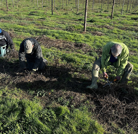 Hoppers helping out