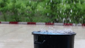 Rain barrel - 12 top home gardening hacks