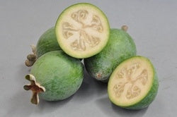 grow feijoas
