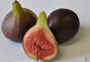 Image of Blenheim fig - how to grow figs