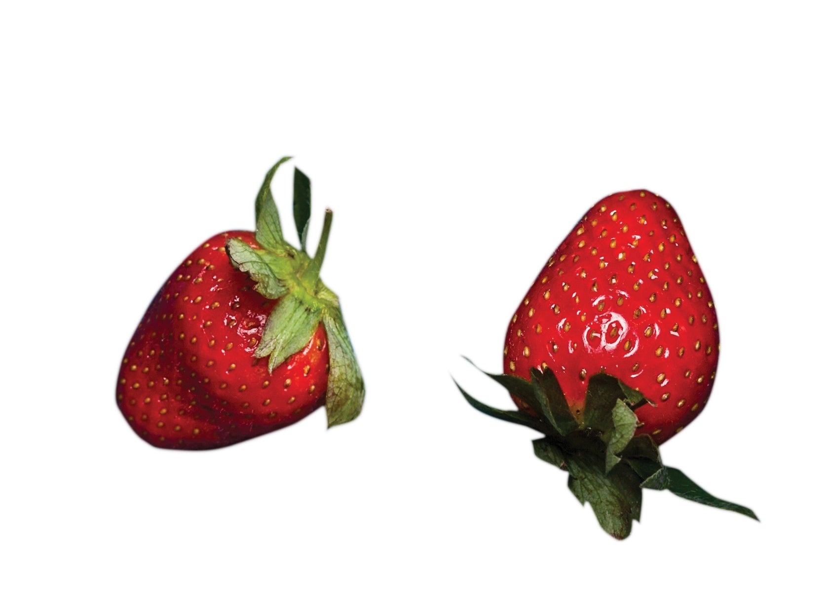 stawberries