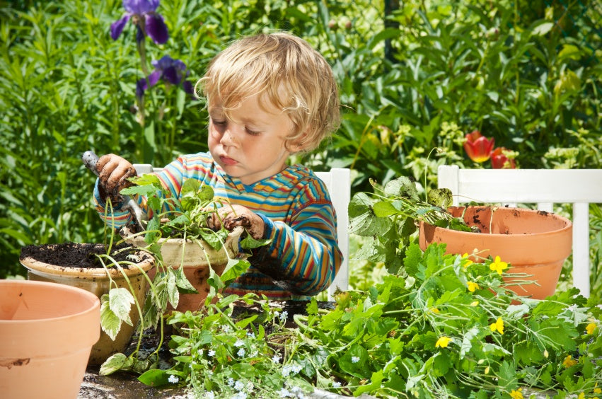 little-boy-gardener