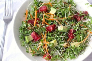microgreens-salad-7
