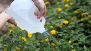 Water bottle watering can - 12 top home gardening hacks