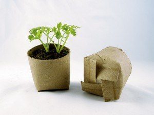 Toilet paper roll pots - 12 top home gardening hacks