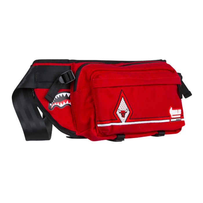 chicago bulls sprayground