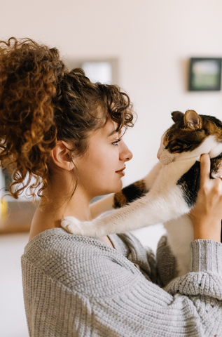 curly hair, cat, beautiful, straight to curly