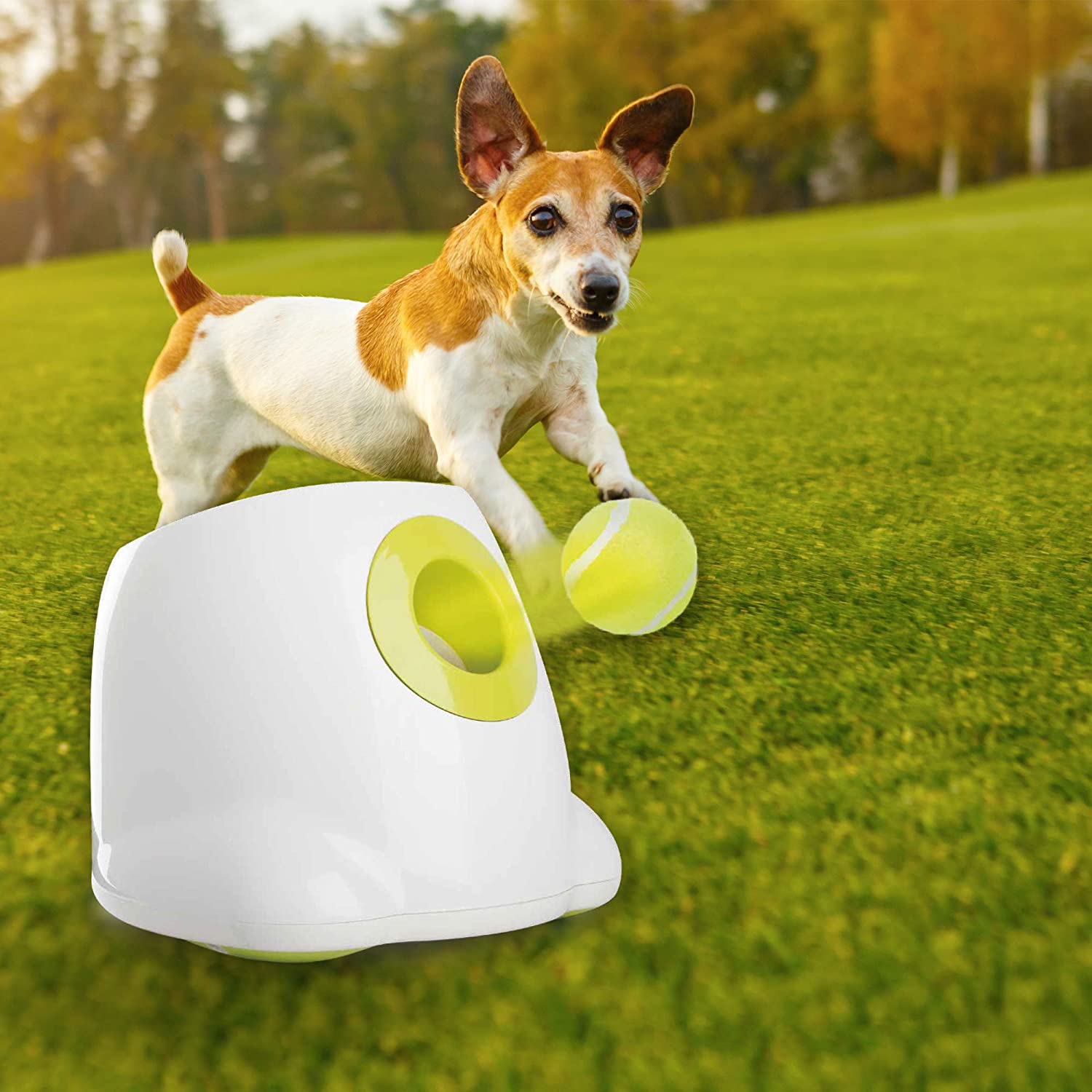 pet ball launcher