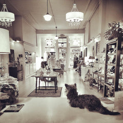 Penny on the checkout counter at Adorn Jewelry on Main St Canandaigua