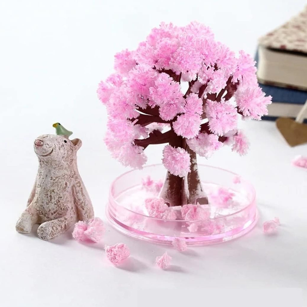 Cherry Blossom Bansai Paint by Numbers Kit – Crafty Wonderland