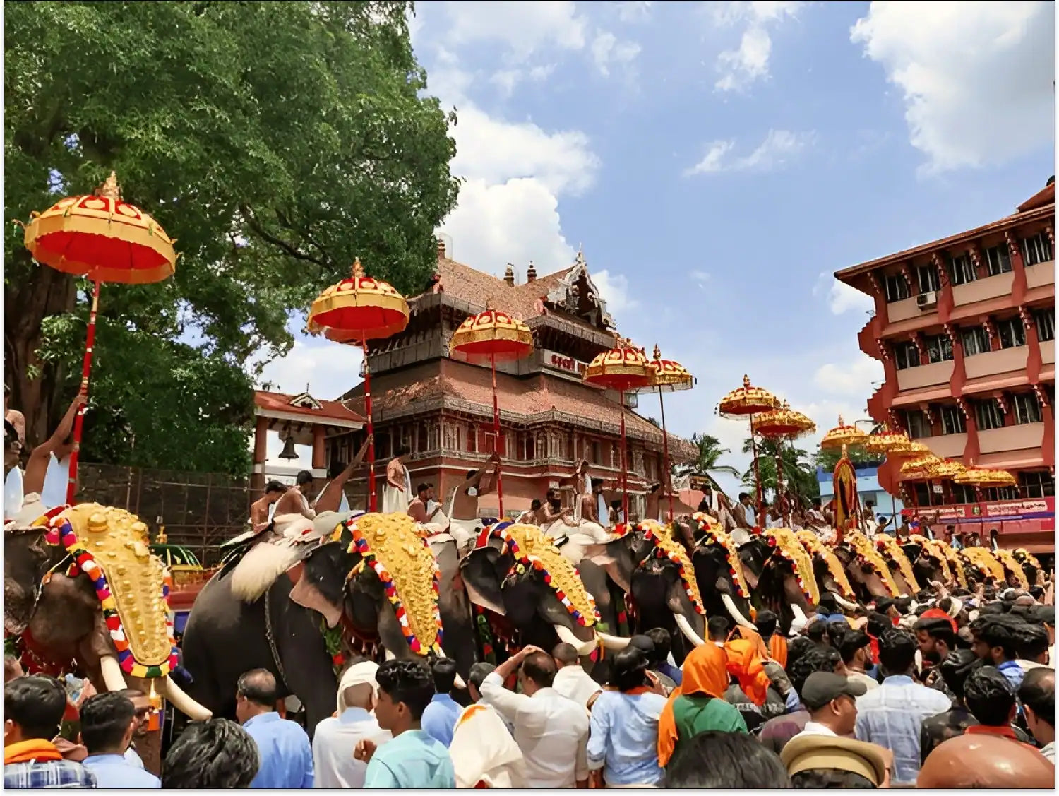 Thrissur Pooram showcases a large crowd celebrating with elephants, highlighting the cultural richness of the event.