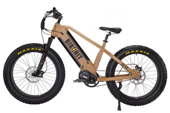 warthog electric bike