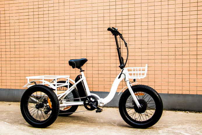 electric cargo trike