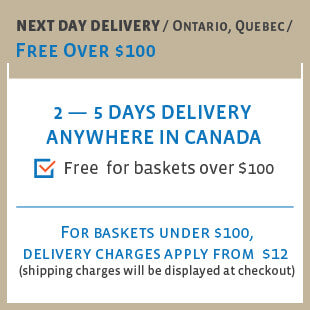 Same Day FREE Delivery Gift Baskets Toronto - MY BASKETS
