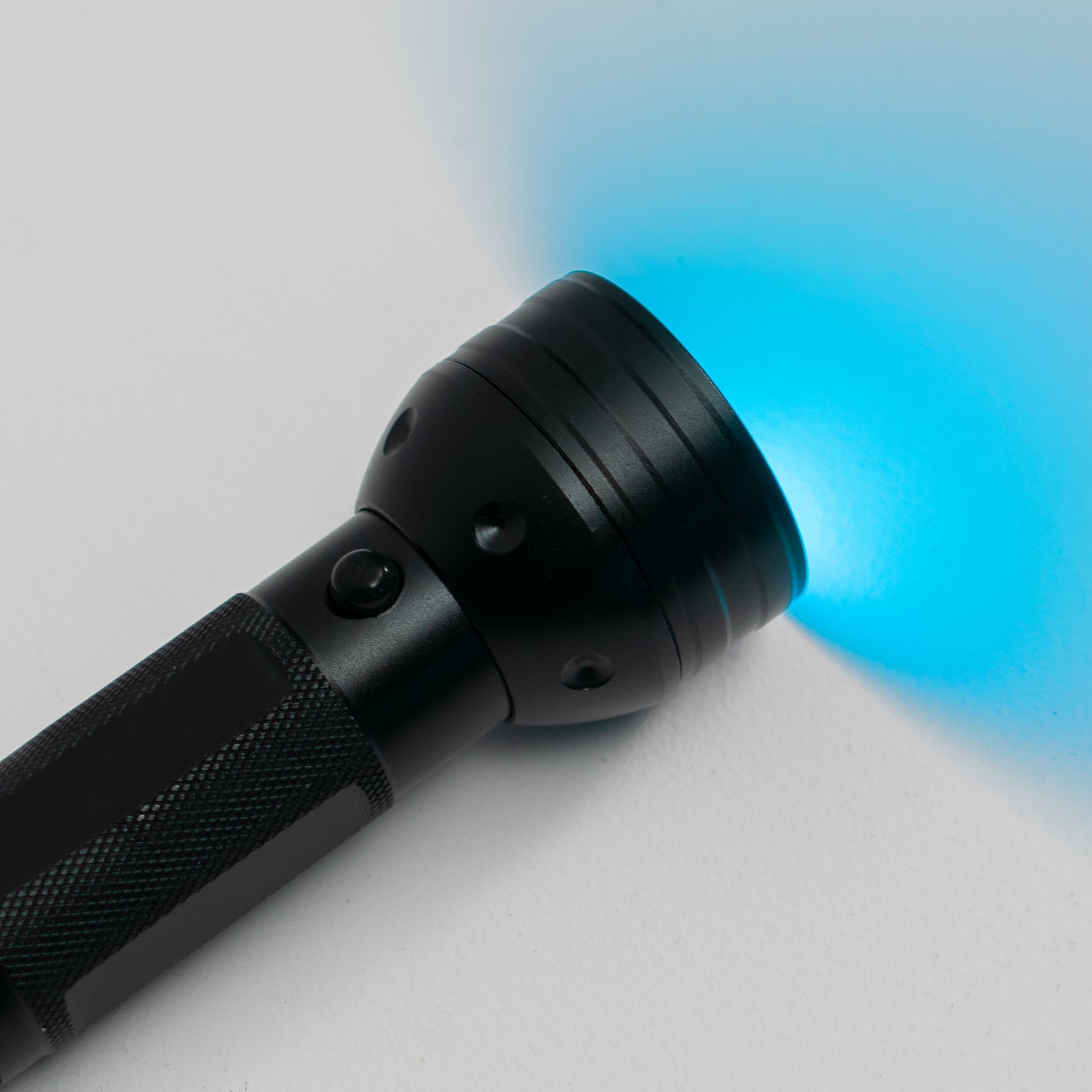 bacteria detection torch