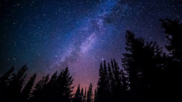 Spektakulärer Sternenhimmel über Tannenwald