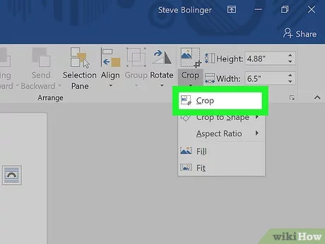 How to Crop a Picture in Microsoft Word?