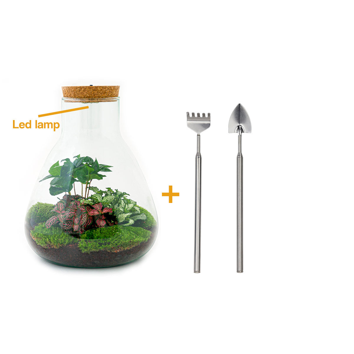 plant - Sam met lamp Terrarium Led Verlichting ↑ cm – FLESSENTUIN